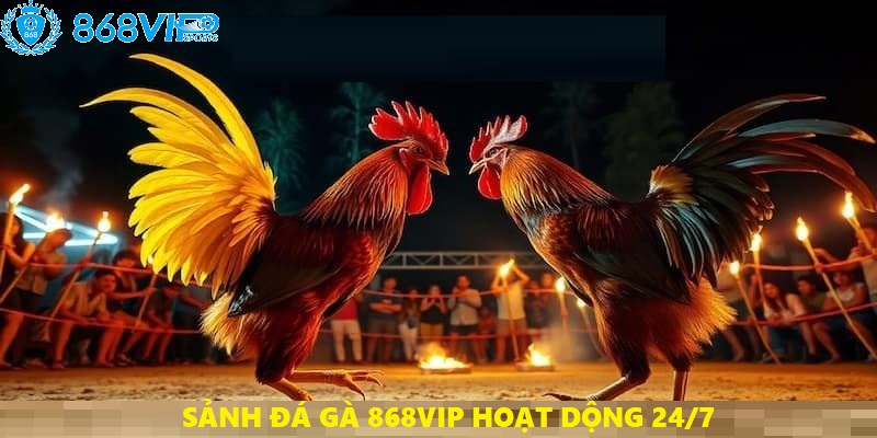 Sảnh đấu hoạt động 24/7, anh em vào là có kèo chơi ngay