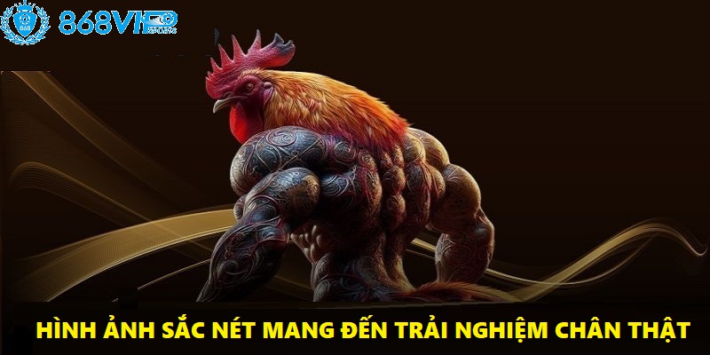 Hình ảnh trận đá gà 868VIP sắc nét mang lại cảm giác như đang ngồi tại sới