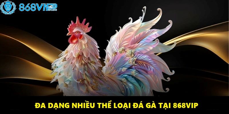 Đa thể loại đá gà cho anh em lựa chọn kèo cược phù hợp nhất